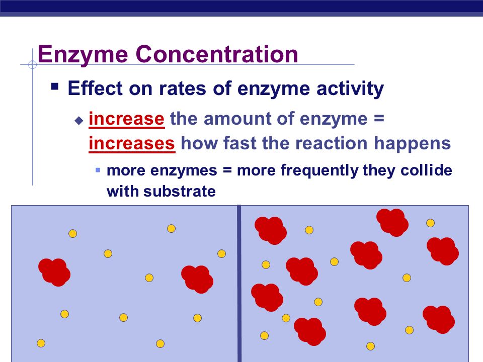 Effect of substrate concentration on enzyme activity experiment